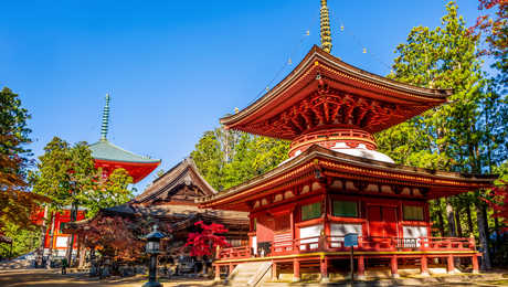 Les temples de Koyasan