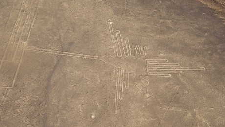 survol de l'oiseau sur les lignes de nazca