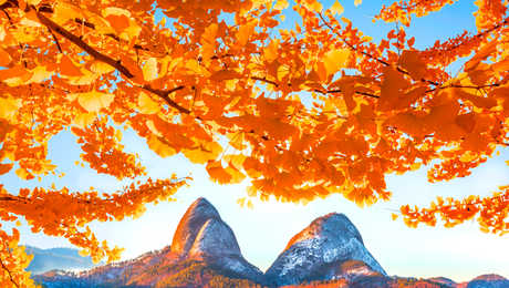 mont Maisan en automne en Corée du Sud