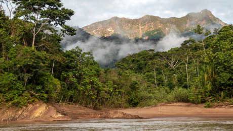 Montagnes vertes de la forêt tropicale dans les nuages, bassin du fleuve Amazone, Amérique du Sud