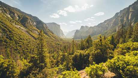 Parc national de Yosémite, Ouest américain