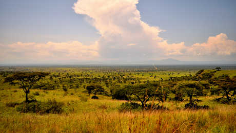 Parc national Queen Elizabeth en Ouganda