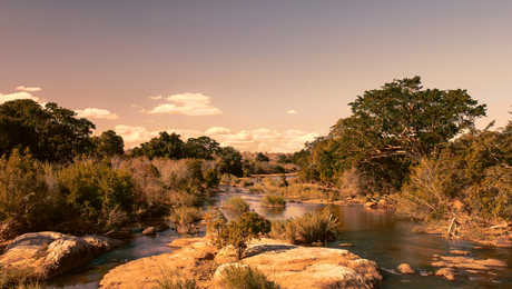 Paysage africain dans le parc national Kruger, Afrique du Sud