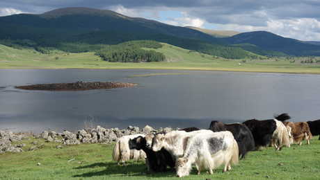 Paysages de la région des 8 lacs