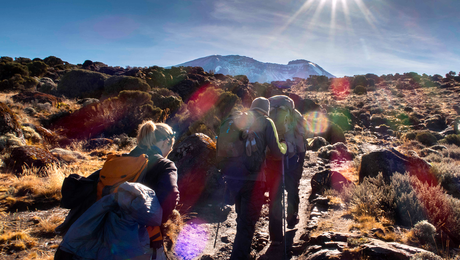 Petit groupe de randonneurs en train de marcher sur les laves des hauts plateaux de Shira en Tanzanie