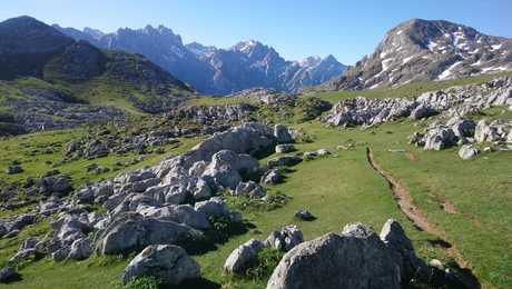 Sentier entre des étendues d'herbes vertes les sommets des Picos des Europa derrière