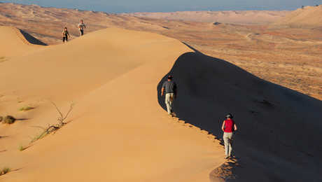 Rando dunes Wahiba Sand, Oman