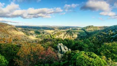 Randonnée sur le chemin de Stevenson dans les forêts des Cévennes