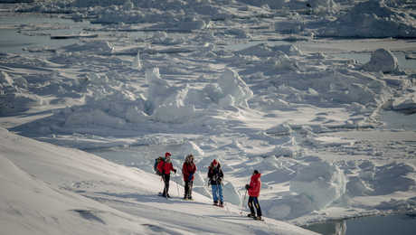 Randonneurs en raquettes face à l'Icefjord, Groenland