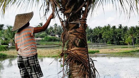 Rencontre de la population locale Ubud