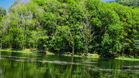 Selva Negra à Matagalpa, région montagneuse centrale du Nicaragua