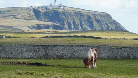 Sumburgh dans les Shetlands en Ecosse