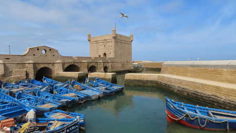 Sur les remparts de la ville d'Essaouira, Maroc