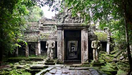 Temple Angkor Wat entouré de végétation au Cambodge