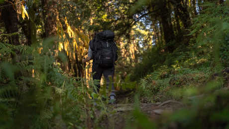 Trek à Mardi Himal au Népal
