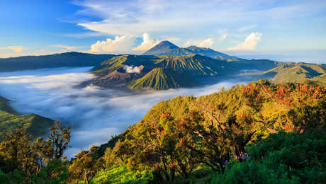 Volcan Bromo, Java, Indonésie