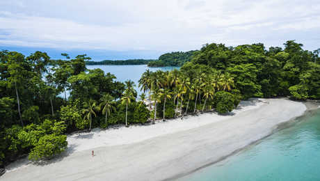 Vue aérienne de la plage turquoise avec du sable blanc au Panama, Isla Iguana dans la baie de san Miguel