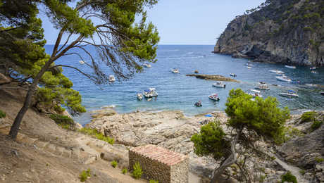 vue sur la Cala Pedrosa, Costa Brava, Espagne