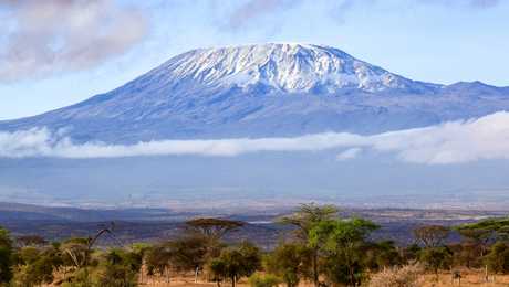 Vue sur le Kilimandjaro enneigé avec de la savane en premier plan en Tanzanie