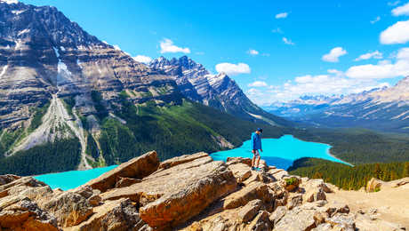 Vue sur le lac Peyto dans le parc national de Banff au Canada