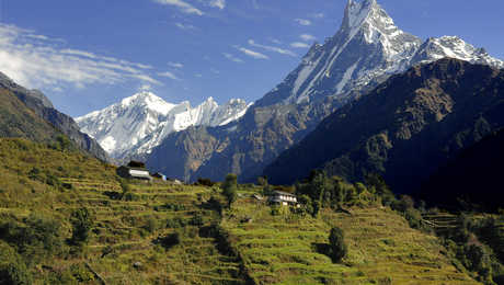 trek népal, trek annapurna, trek sanctuaire des annapurnas