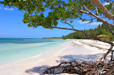 Cayo Jutias
