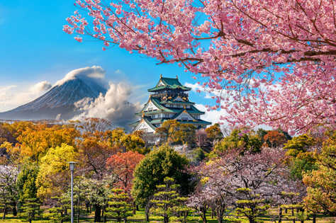 Château d'Osaka et cerisiers en fleurs, avec le mont Fuji en arrière-plan, Japon