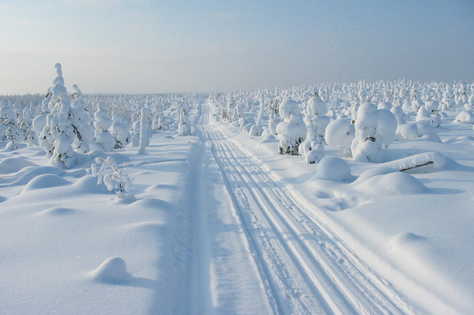 Laponie sous la neige