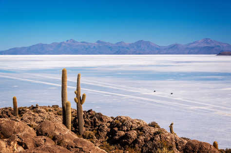 Le salar d'Uyuni depuis l'île Incahuasi en Bolivie