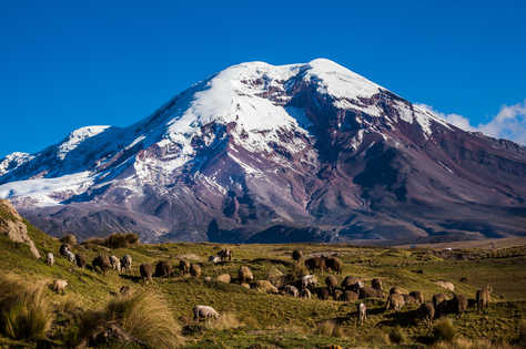 Le volcan Chimborazo en Equateur