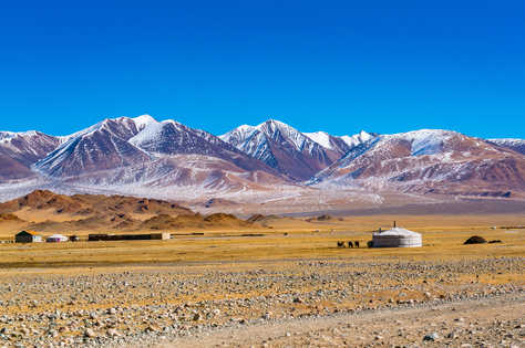 Vue sur la ger mongole avec un troupeau de moutons et de vaches sur la steppe jaune