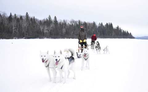 Marion Pinon en chien de traîneau au Québec
