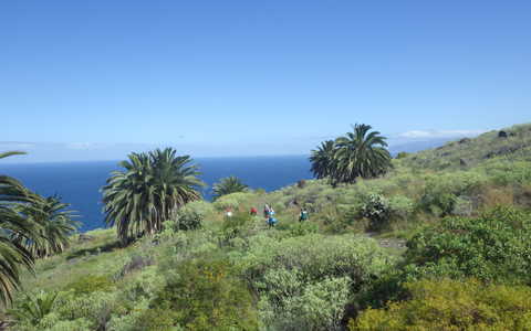 Paysage côtier sur l'île de la Gomera aux Canaries