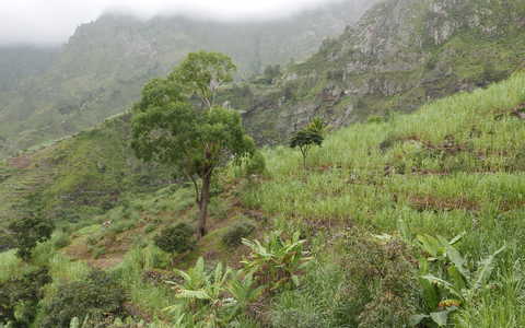 Vallée de Paul vers le cratère de Cova au Cap-Vert