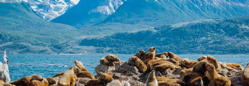Sur les hauteurs d'Ushuaia, en Terre de Feu, Patagonie argentine