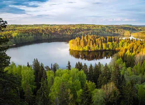 Paysage de Finlande l'automne
