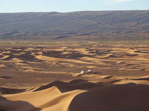 Bivouac dans les dunes, Drâa, Maroc