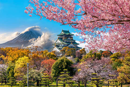 Château d'Osaka et cerisiers en fleurs, avec le mont Fuji en arrière-plan, Japon