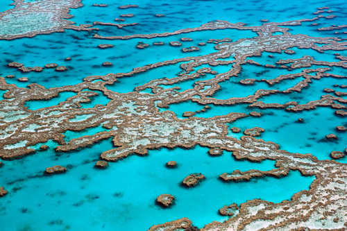 Grande barrière de corail en Australie
