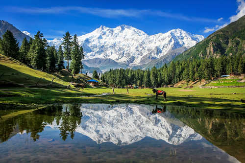 Prairies des fées au Pakistan