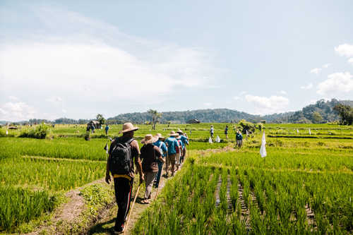 Randonneurs avec leur guide pendant une randonnée en Indonésie