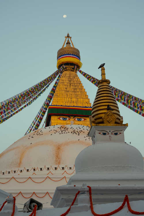 Temple Boudhanath au Népal