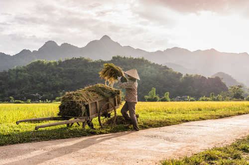 Vallée de Mai Chau, Vietnam