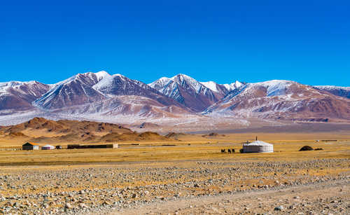 Vue sur la ger mongole avec un troupeau de moutons et de vaches sur la steppe jaune