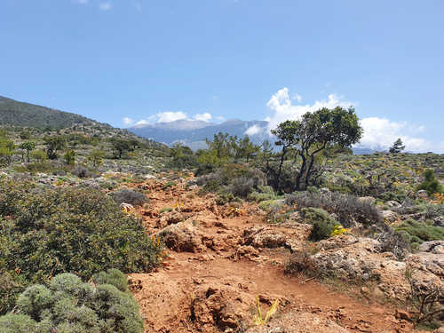 Vue sur les montagnes blanches en Crète