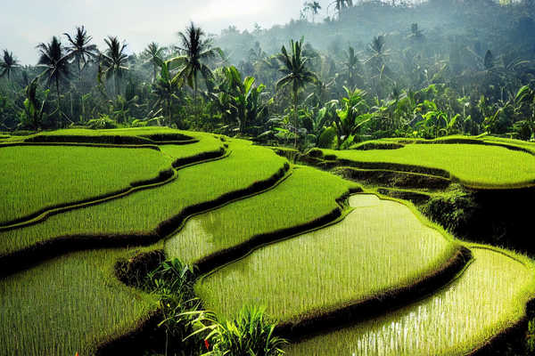 Balade dans les rizières de Ubud en Indonésie
