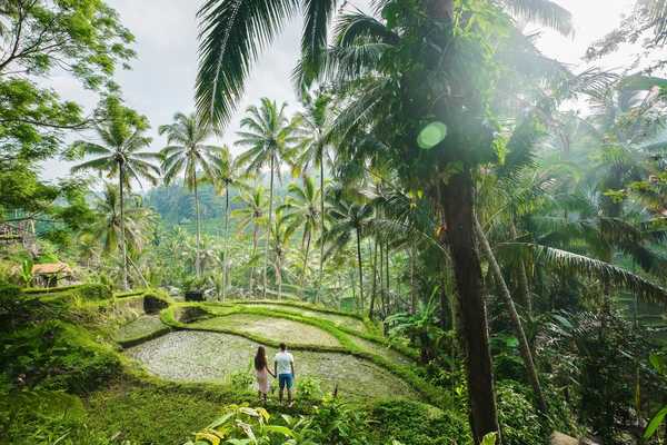 Couple dans les rizières de Bali