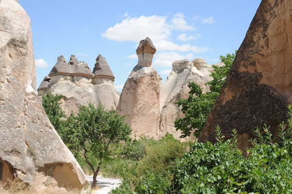 formations-rocheuses-vallee-de-pasabag-cappadoce