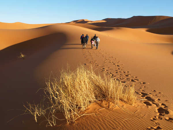 Groupe de randonneurs dans les dunes de Merzouga au Maroc