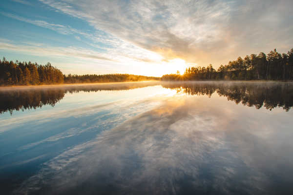 La presqu’île de Sepiniemi  dans le parc de la Hossa Finlande
